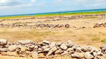 LEGISLACIÓN EN  LA ISLA DE CUBAGUA