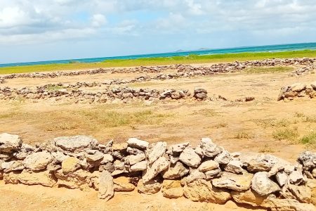 LEGISLACIÓN EN  LA ISLA DE CUBAGUA